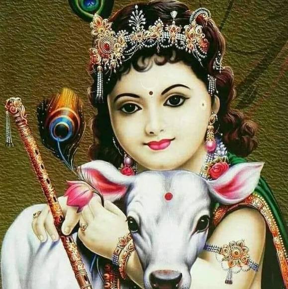 bijal_patel